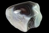 Polished Botswana Agate Nodule - Botswana #146387-2